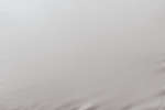 Encased Polyester Hypoallergenic Twin XL Mattress Protector