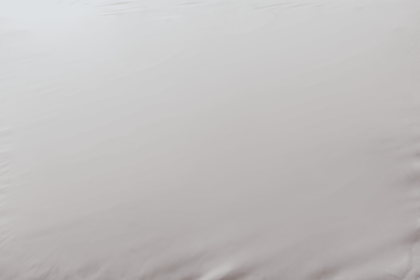 Encased Polyester Hypoallergenic Twin XL Mattress Protector